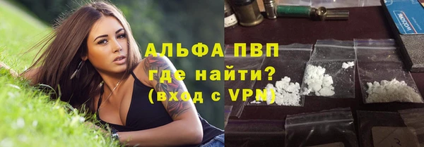 ПСИЛОЦИБИНОВЫЕ ГРИБЫ Переславль-Залесский