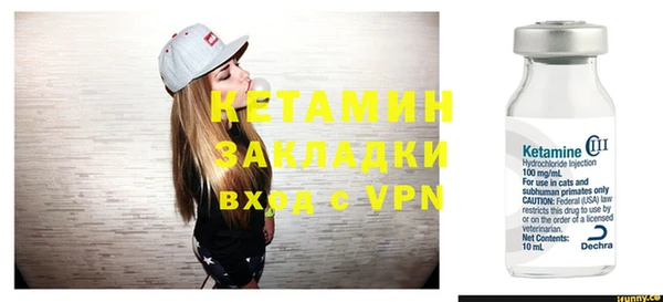 шишки Тутаев