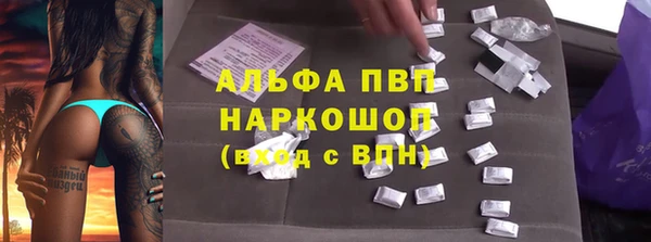 ПСИЛОЦИБИНОВЫЕ ГРИБЫ Переславль-Залесский