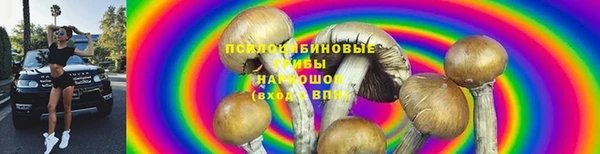 герыч Гусь-Хрустальный