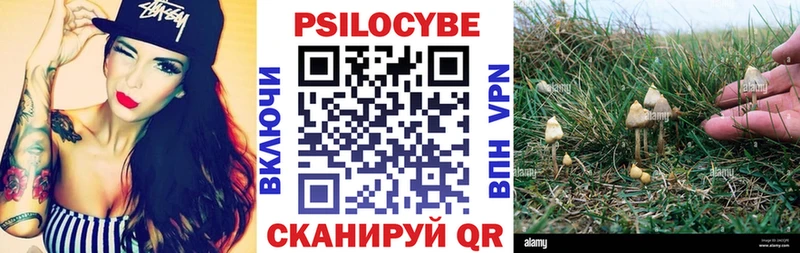 как найти наркотики Красновишерск Галлюциногенные грибы мухоморы